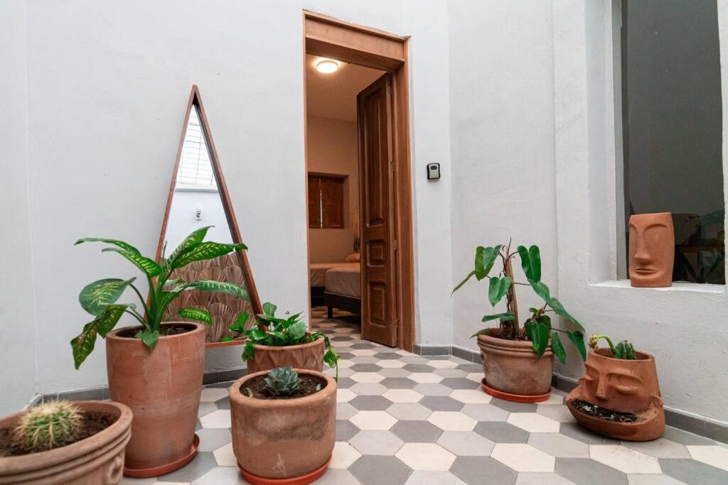 Casa Del Desierto Βίλα Γκουανταλαχάρα Εξωτερικό φωτογραφία